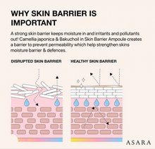 Load image into Gallery viewer, Skin Barrier Ampoule